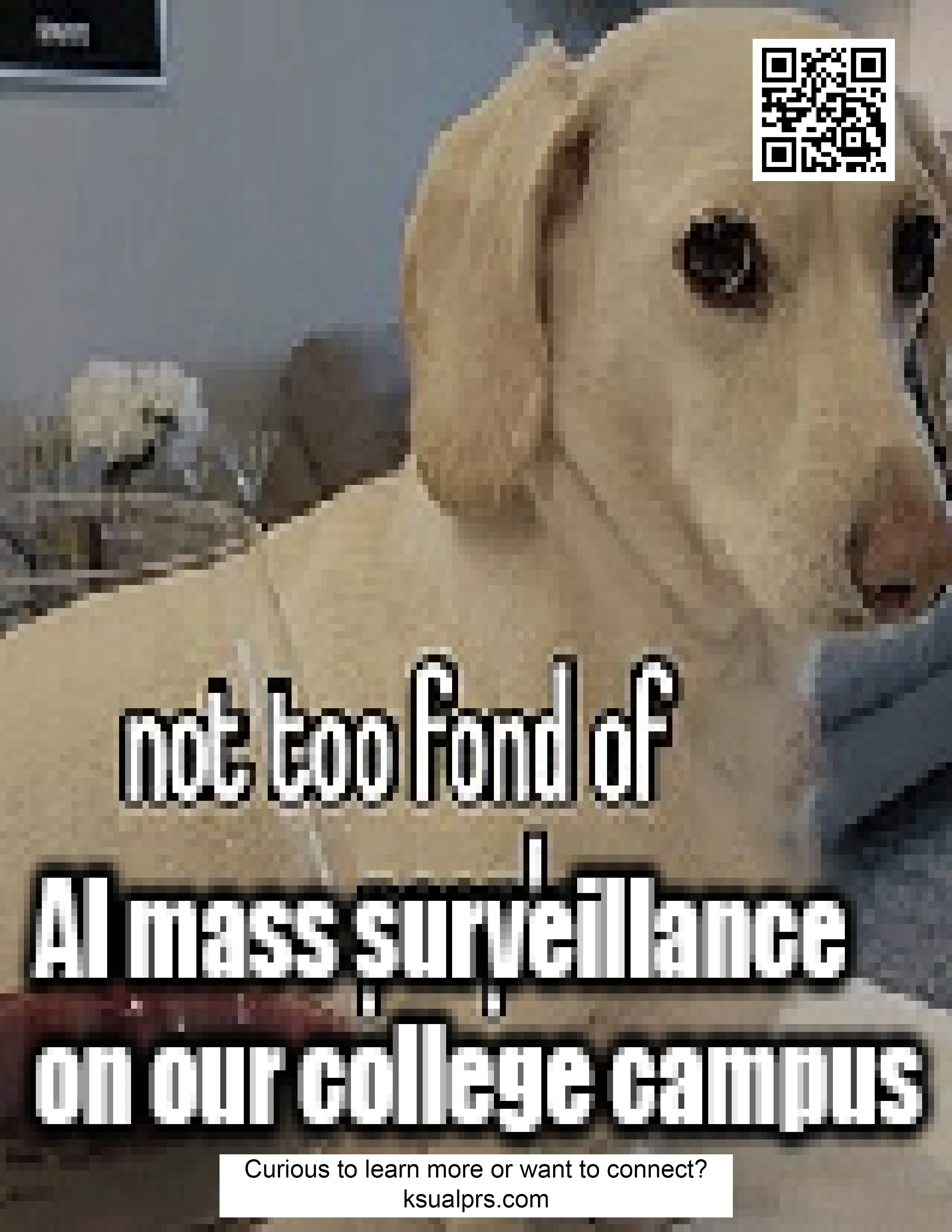glaring dog with caption 'not too fond of AI mass surveillance on our college campus. includes homepage URL (ksualprs.com)'